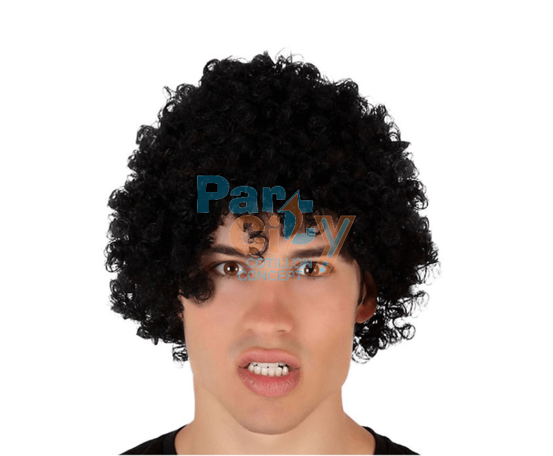 PELUCA PAYASO NEGRA