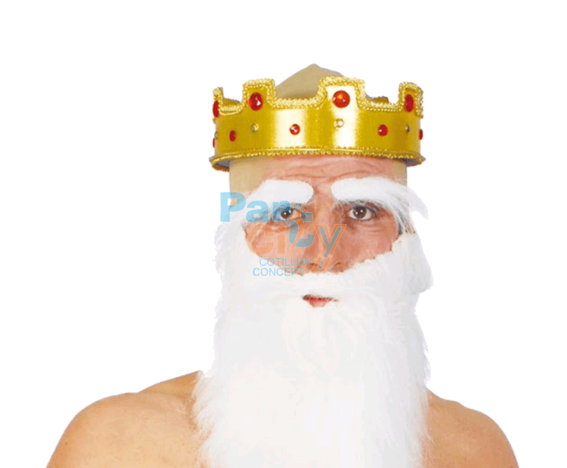 BARBA PAPA NOEL