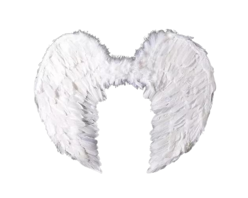 ALAS DE ANGEL CON PLUMAS DOS PARTES