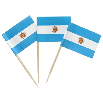 PINCHE BANDERITA COPETIN 12 UNIDADES ARGENTINA X10