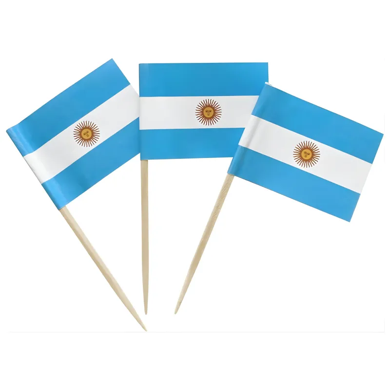 PINCHE BANDERITA COPETIN 12 UNIDADES ARGENTINA X10